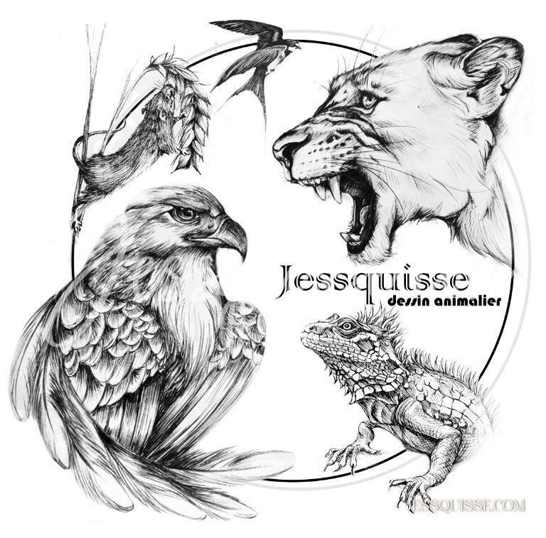 Jessquisse