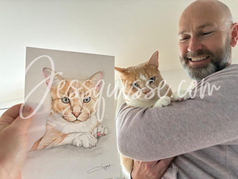 Portrait de chat aux crayons de couleur, présenté avec son modèle