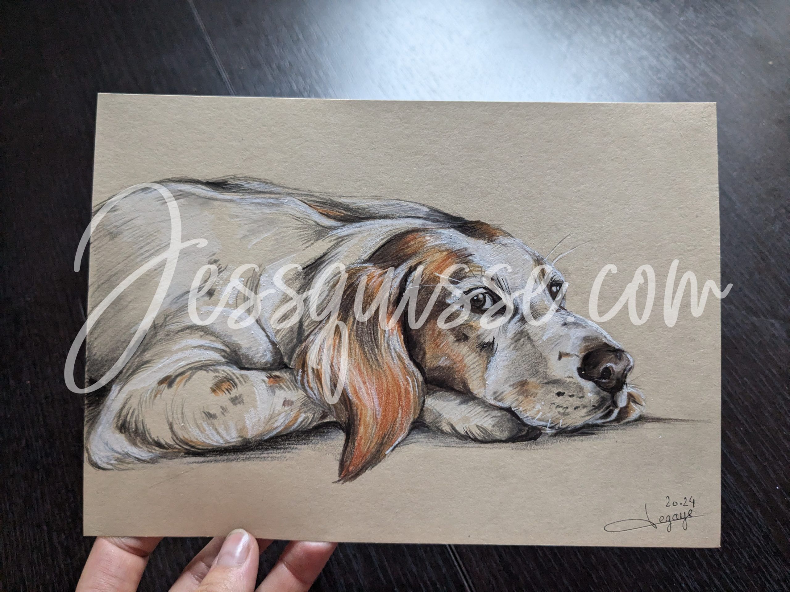 Portrait de basset aux crayons de couleur
