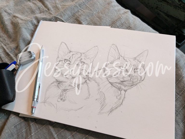 Deux chats dessinés à la main, croquis en cours
