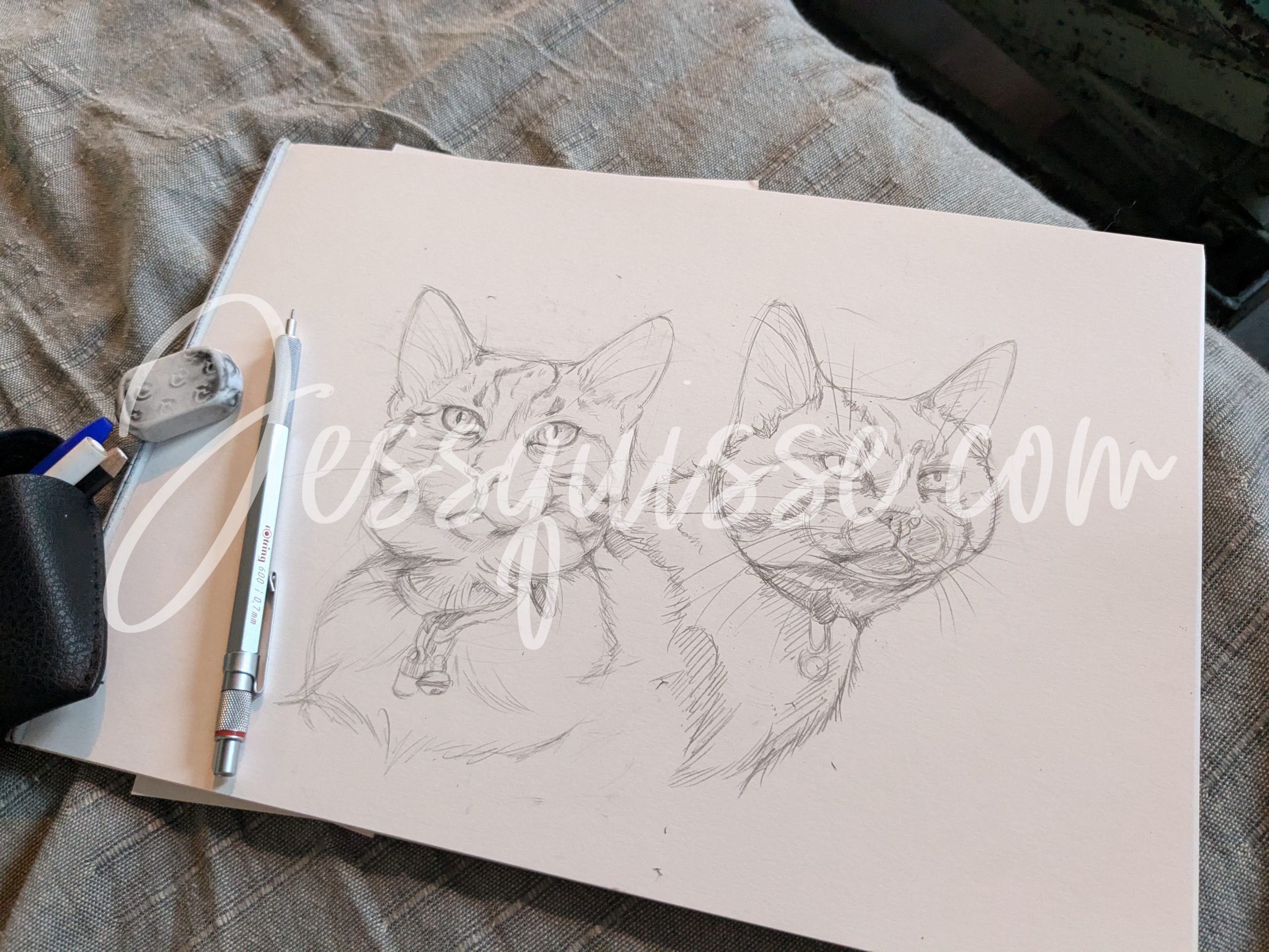Deux chats dessinés à la main, croquis en cours