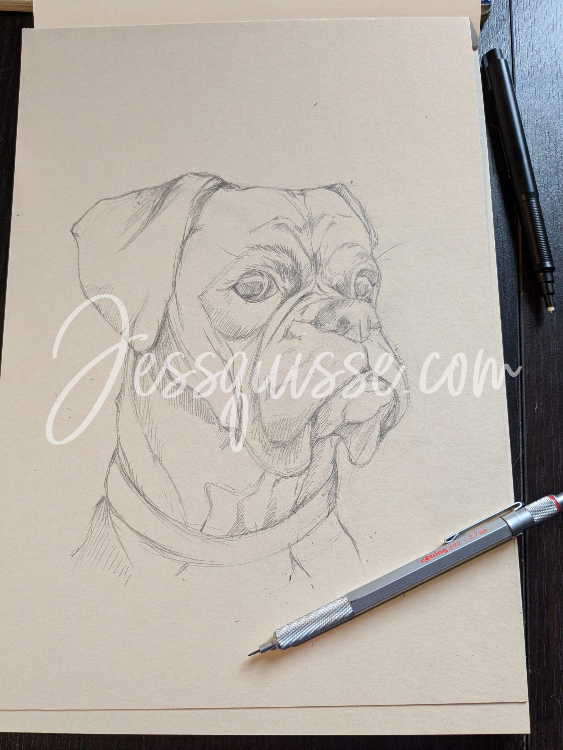 Chien dessiné à la main, croquis en cours