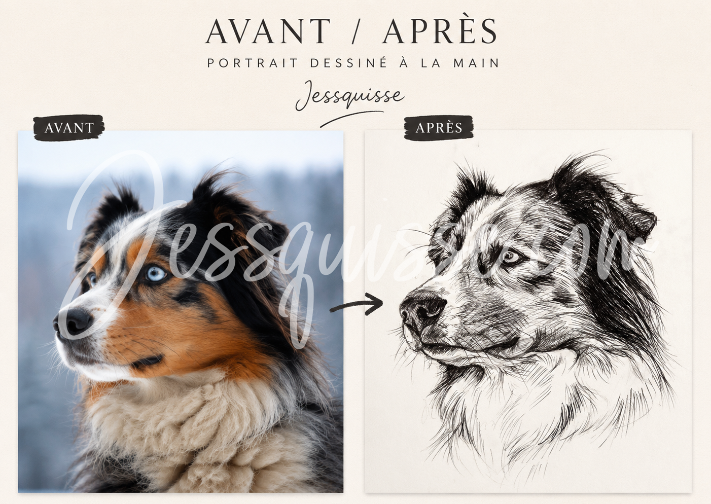 De la photo au dessin : chien au stylo