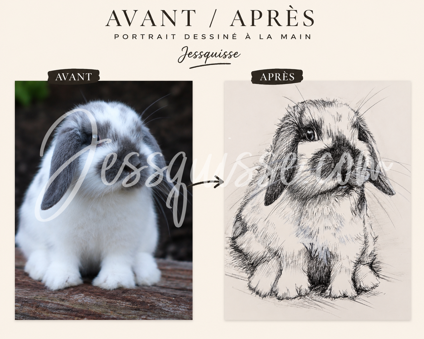 Avant / après : photo d’un lapin et son portrait au stylo