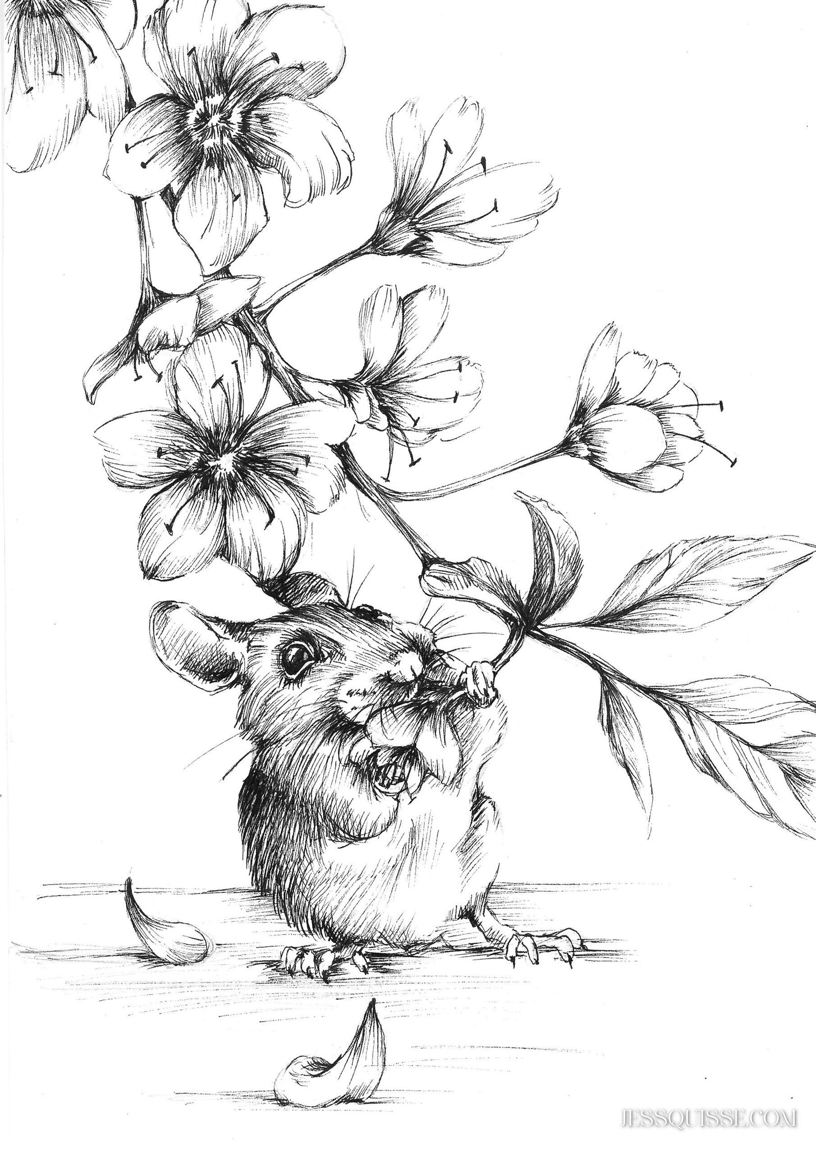 La vie secrète des souris - collection tirages – Image 2