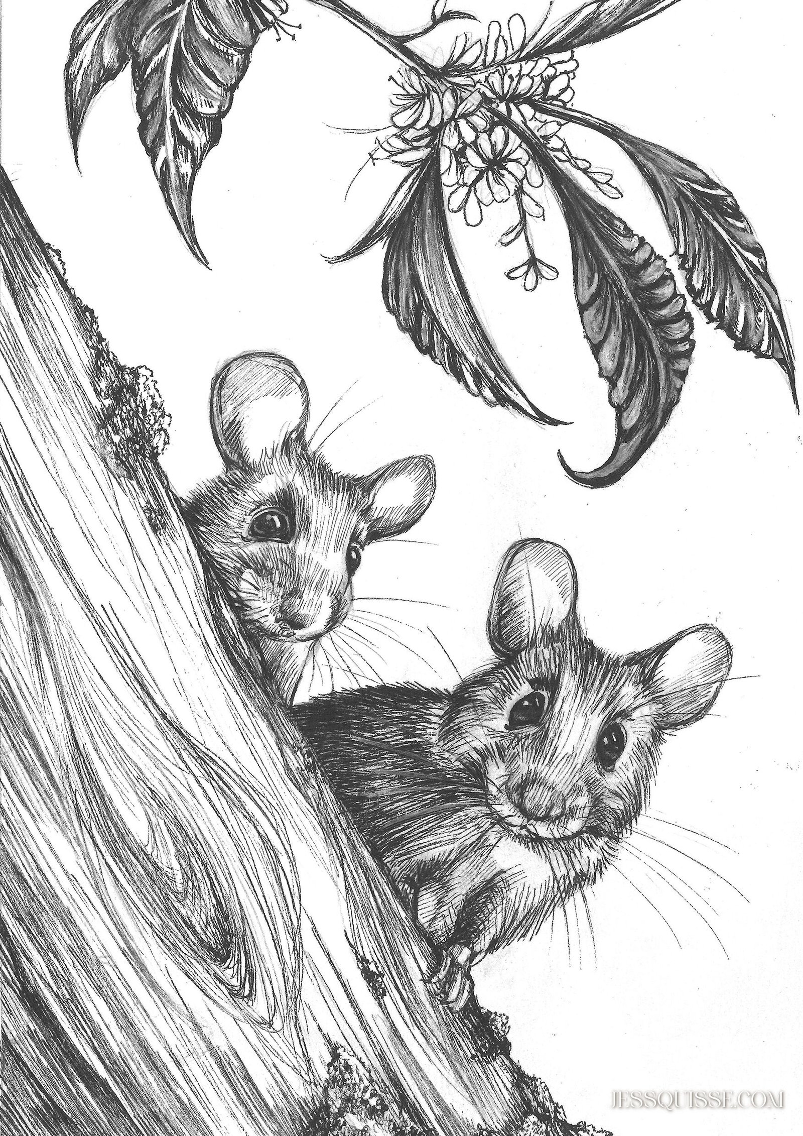 La vie secrète des souris - collection tirages – Image 4
