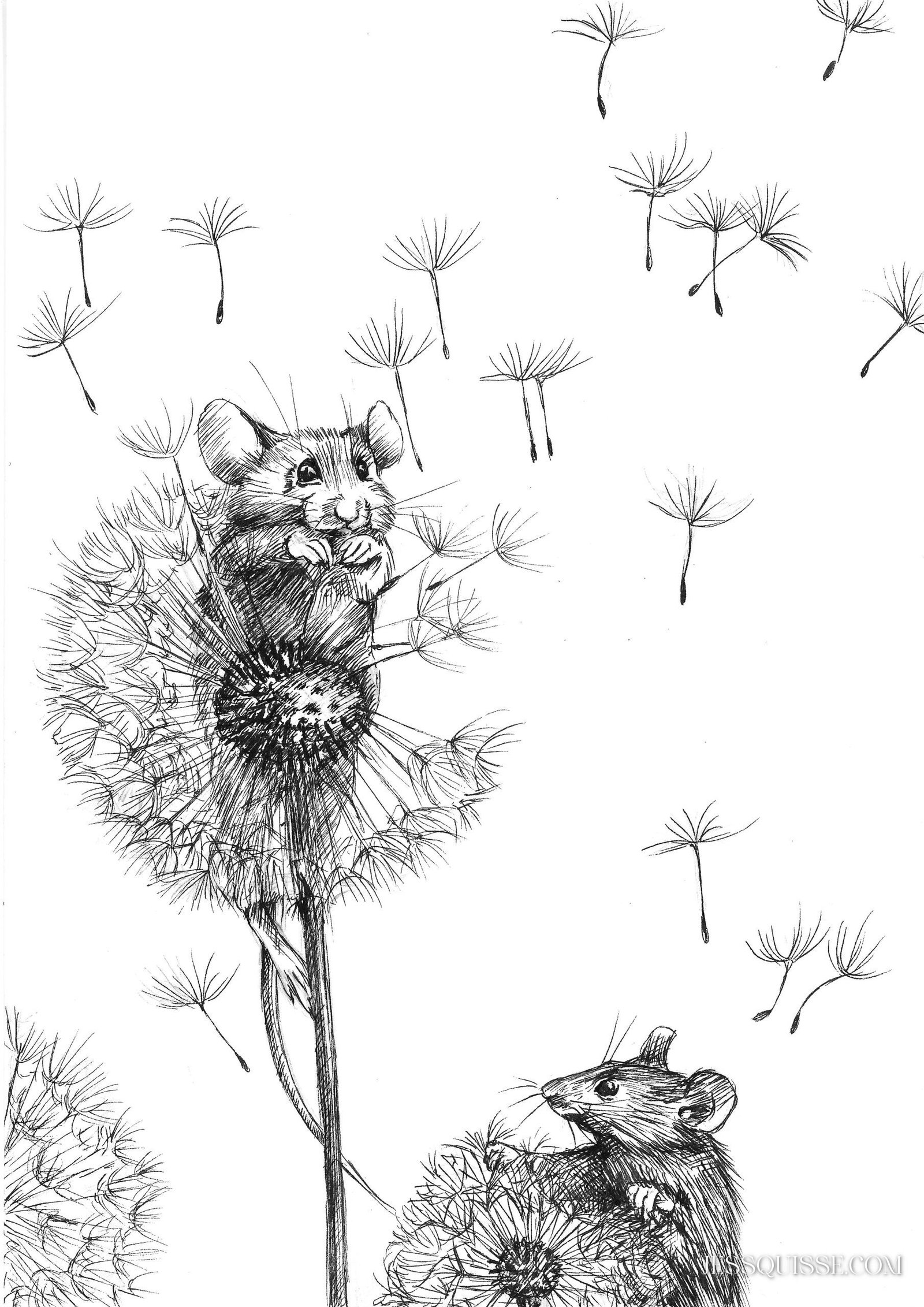 La vie secrète des souris - collection tirages – Image 5
