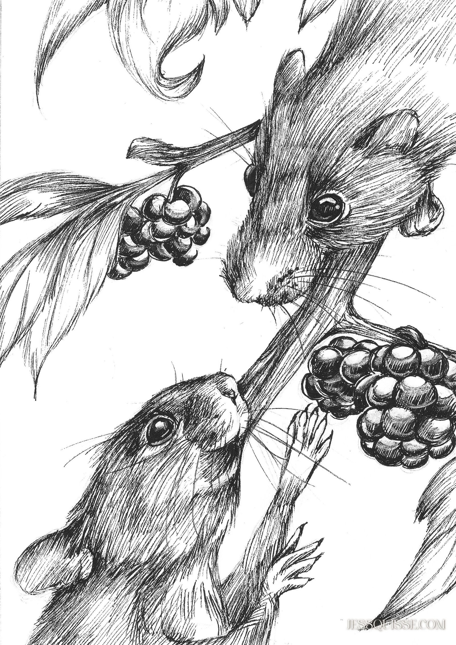 La vie secrète des souris - collection tirages – Image 7