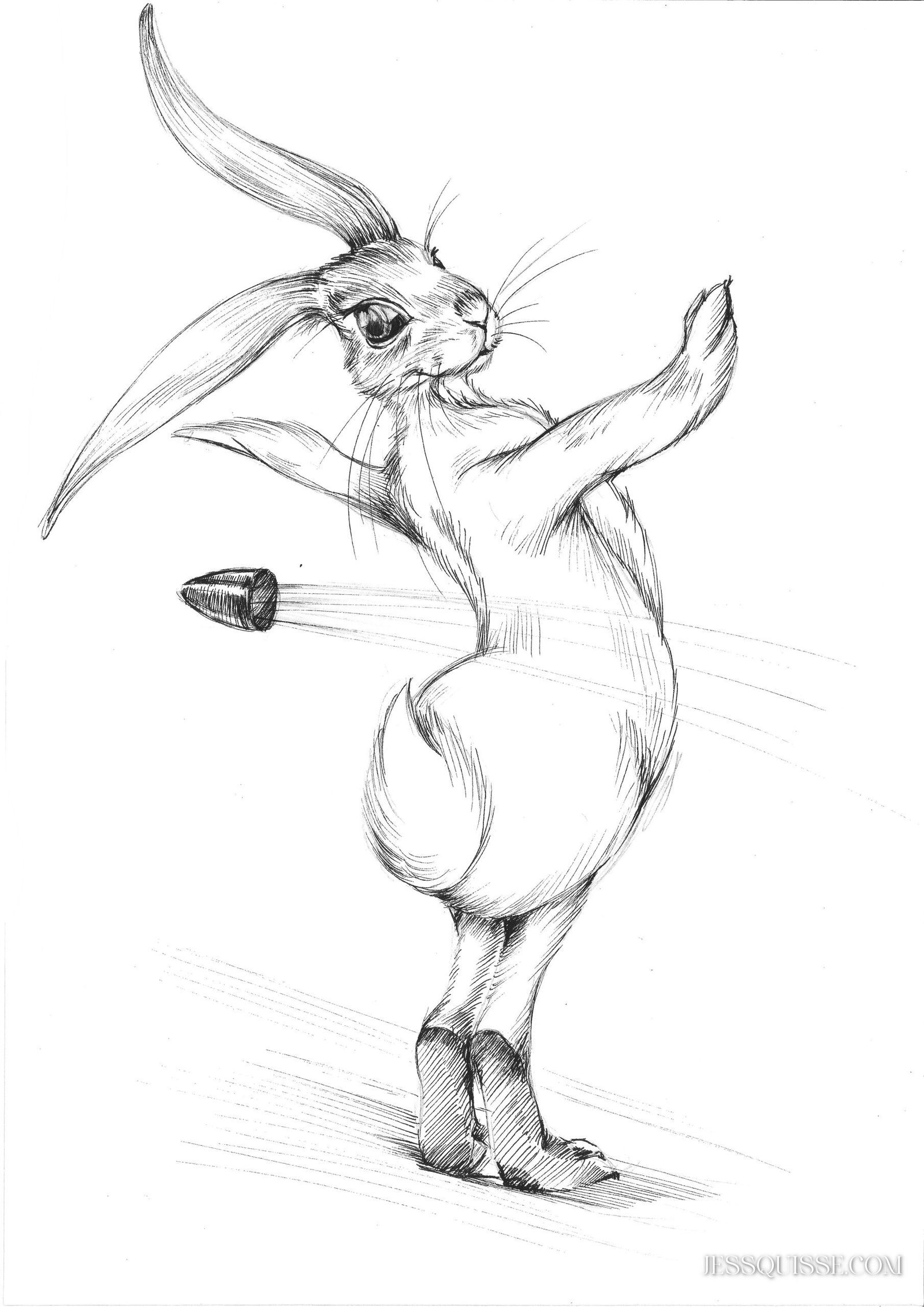 Lapin et balle: tirage d'art animalier Jessquisse