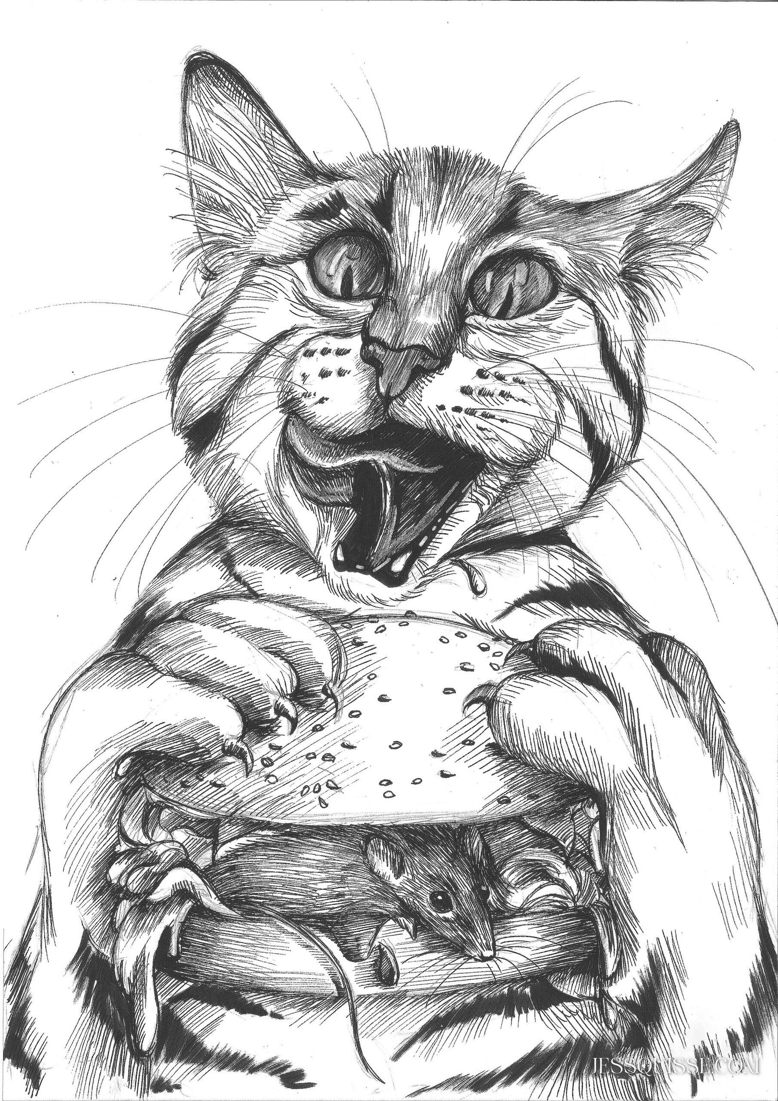 Chat et burger: tirage d'art animalier Jessquisse