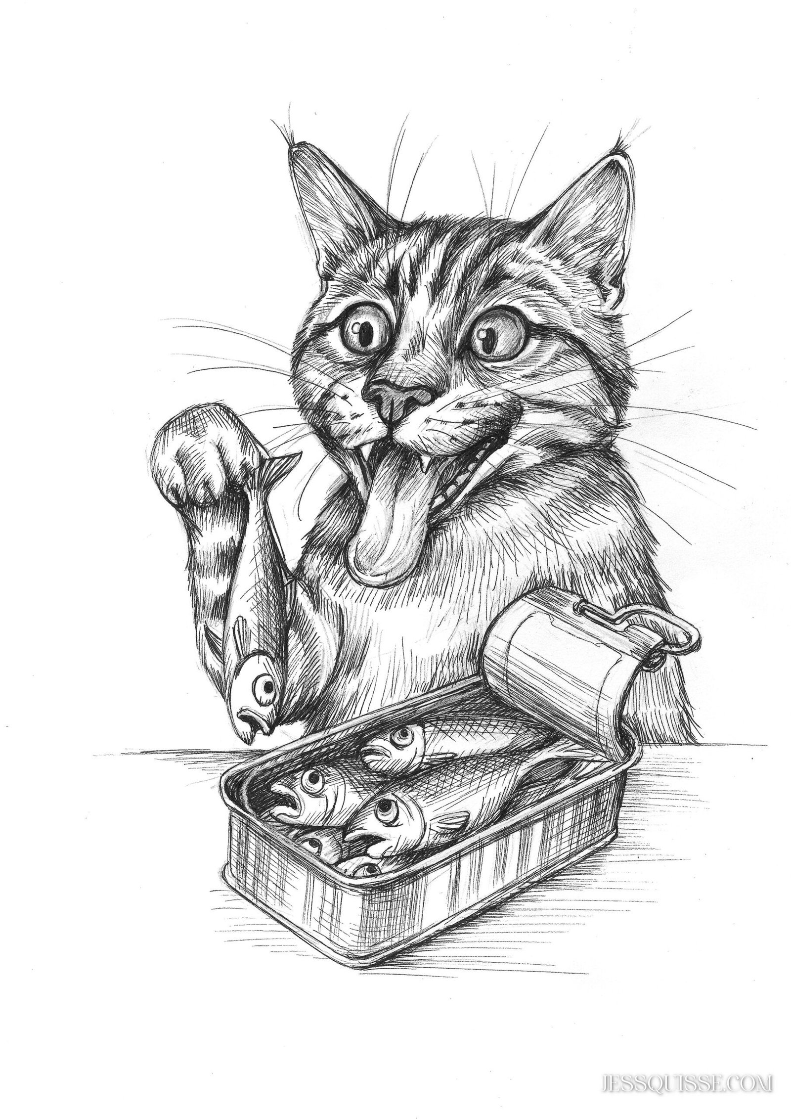 Chat et sardines: tirage d'art animalier Jessquisse