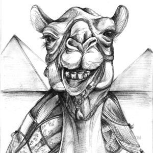 Dromadaire et pyramide: tirage d'art animalier Jessquisse