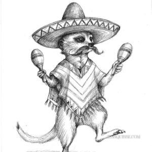 Suricate mexicain: tirage d'art animalier Jessquisse