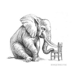 Eléphant et chaise: tirage d'art animalier Jessquisse