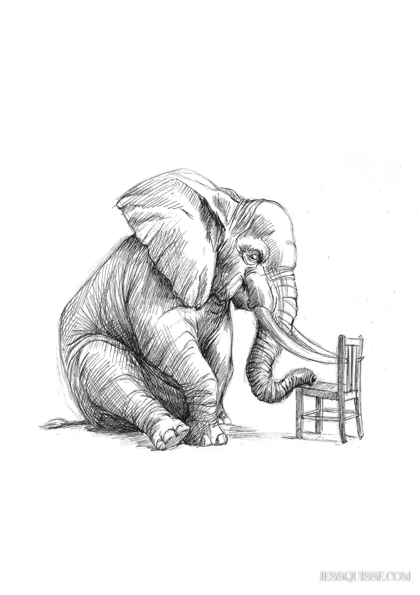 Eléphant et chaise: tirage d'art animalier Jessquisse