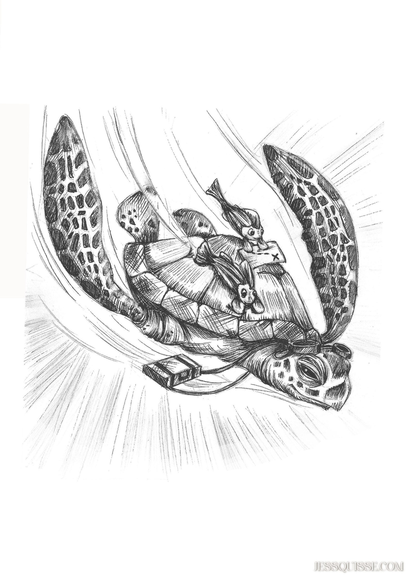 Tortue voyage: tirage d'art animalier Jessquisse