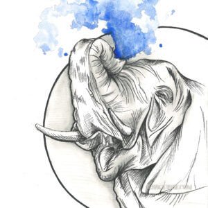 Eléphant aquarelle: tirage d'art animalier Jessquisse