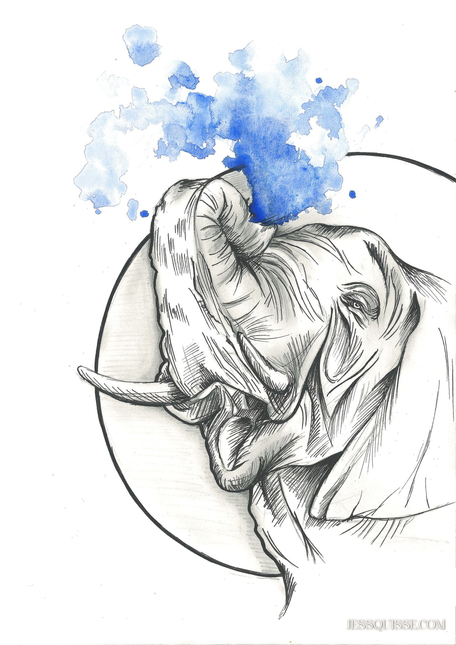Eléphant aquarelle: tirage d'art animalier Jessquisse