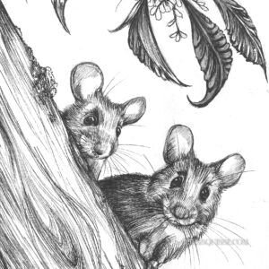 Souris et arbre : tirage d'art animalier Jessquisse