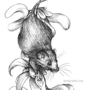 Souris et fleur: tirage d'art animalier Jessquisse