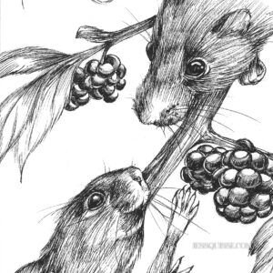 Souris et fruit: tirage d'art animalier Jessquisse