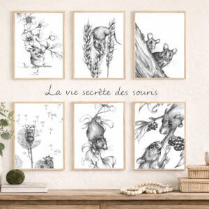 Collection souris: tirages d'art animalier Jessquisse