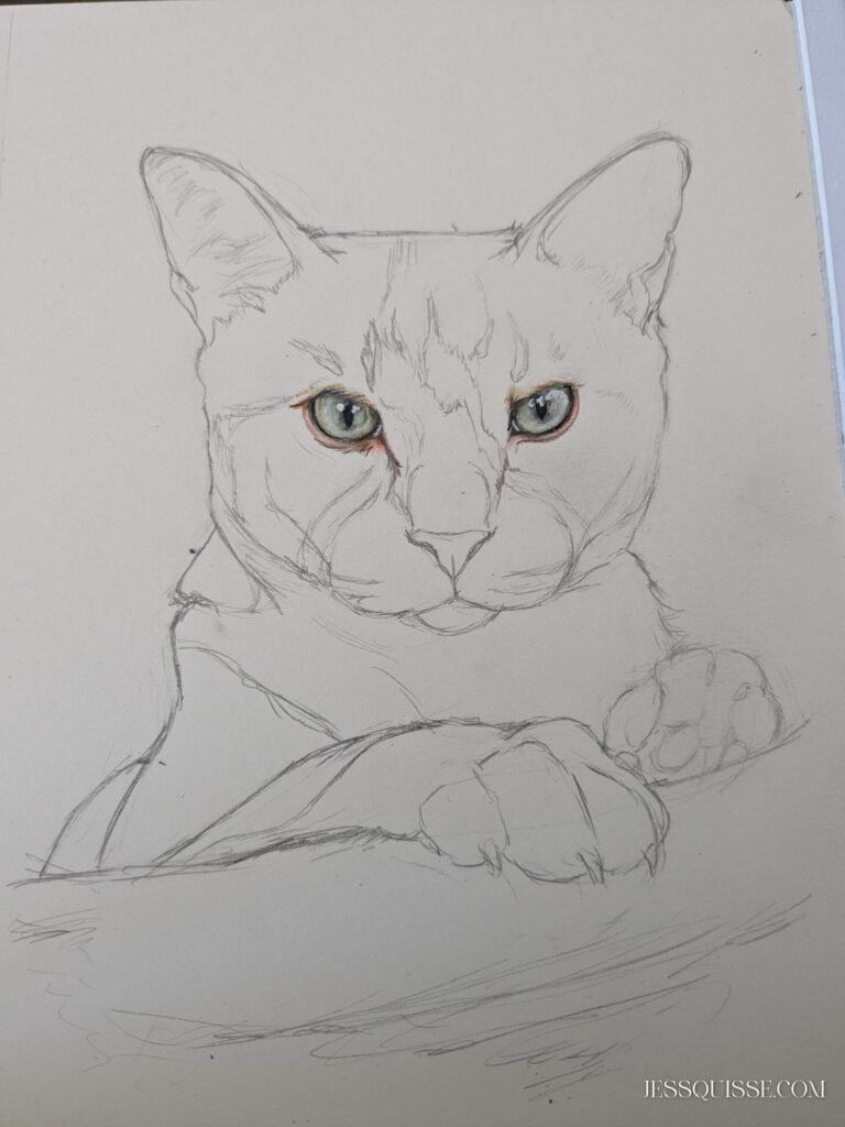 Portrait en couleur en cours, Ubert