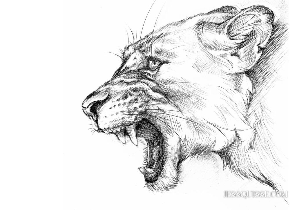Fureur protectrice, lionne en noir et blanc, tirage d’art animalier