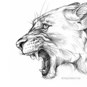 Lionne: tirage d'art animalier Jessquisse