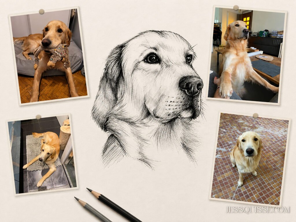 Sisco : de la photo au portrait au stylo