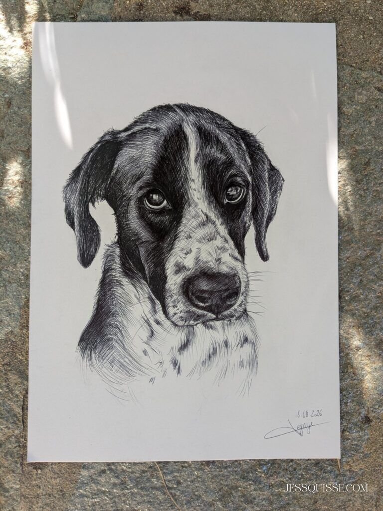 Portrait de Choupi dessiné au stylo
