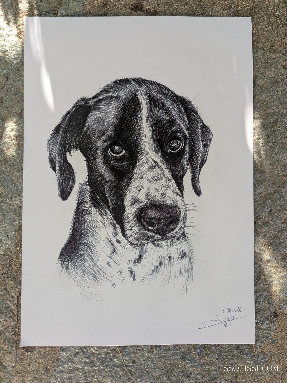 Portrait de Choupi dessiné au stylo, noir et blanc