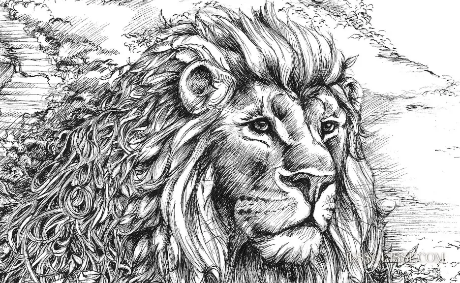 Détail du dessin Le Lion de Fourvière : la crinière du lion se mêle aux feuillages, au stylo noir