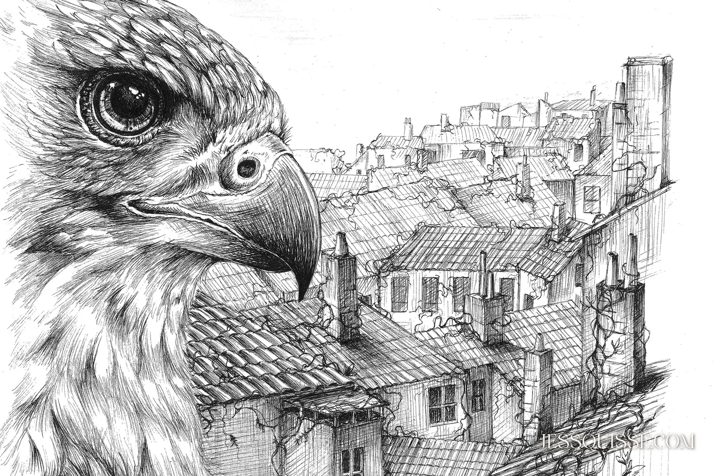L’Œil des Toits, dessin au stylo noir et blanc : un rapace au premier plan observe les toits et les cheminées de la Croix-Rousse à Lyon