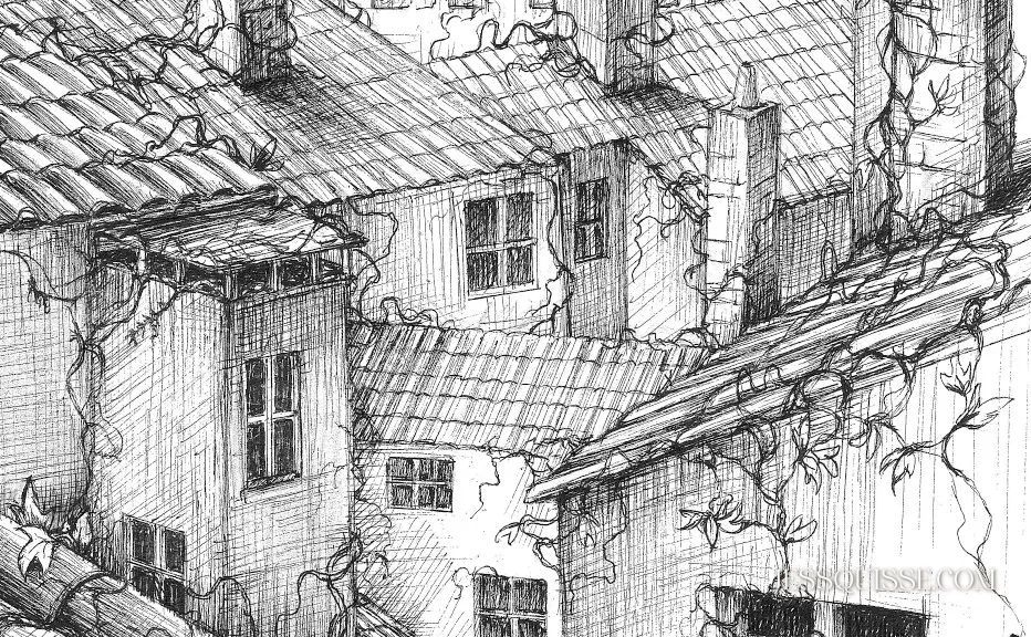 Détail du dessin L’Œil des Toits : fenêtres, tuiles et lierre sur les toits de la Croix-Rousse