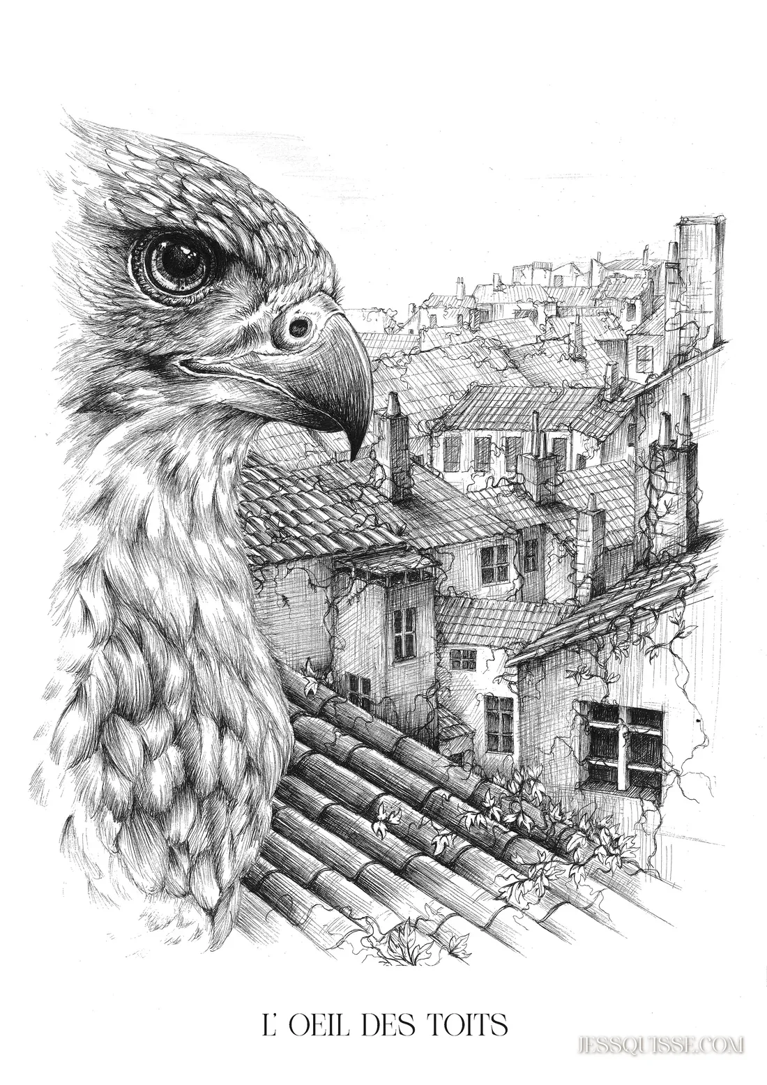 L’Œil des Toits, dessin au stylo noir et blanc : un rapace au premier plan observe les toits et les cheminées de la Croix-Rousse à Lyon