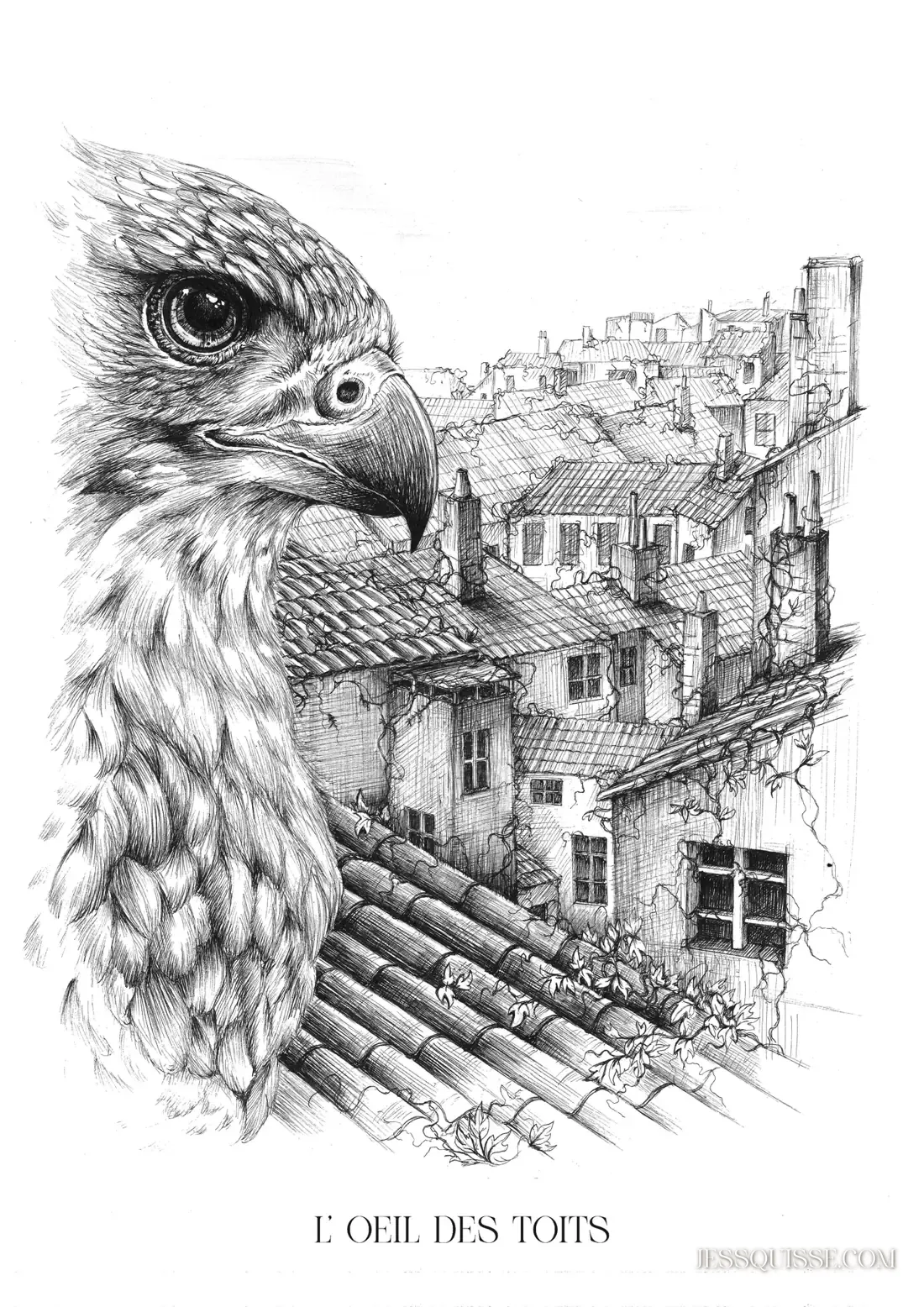 L’Œil des Toits, dessin au stylo noir et blanc : un rapace au premier plan observe les toits et les cheminées de la Croix-Rousse à Lyon