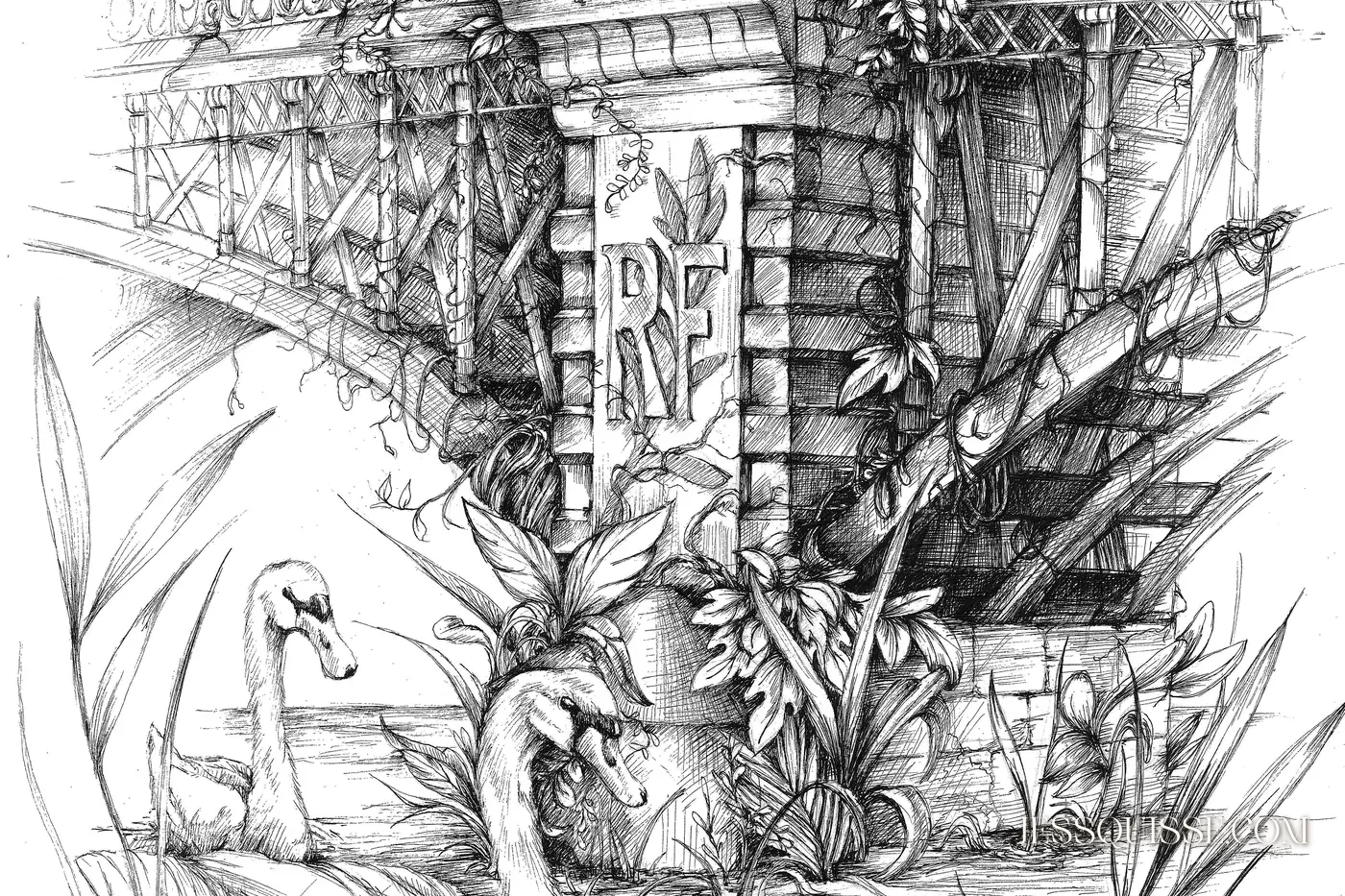 Les Veines de Lyon, dessin au stylo noir et blanc : un pont lyonnais, ses piles envahies de feuillages et deux cygnes sur le fleuve