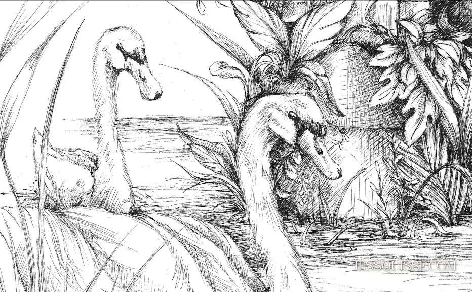 Détail du dessin Les Veines de Lyon : les cygnes et les roseaux sur le fleuve