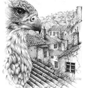 L’œil des toits, tirage d'art A3 d'un dessin au stylo noir et blanc de la collection Lyon habité par Jessquisse