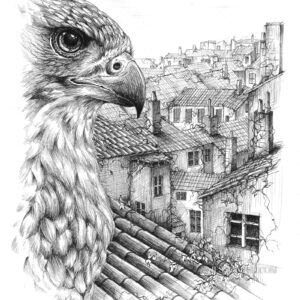 L’œil des toits